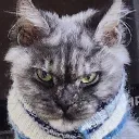 angry0077