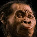 adamwasmonkie