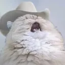 fergiethetaurus