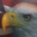 beanstalk6305 avatar