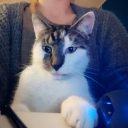 avatar BitterSweetElly