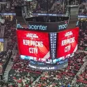 blazerfan503