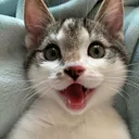 viviizk