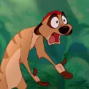 timon00353
