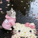 avatar 𝖁𝖎𝖛𝖎𝖈𝖍𝖊𝖓