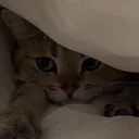helloitsaya