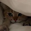 helloitsaya