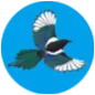 magpiecoin_