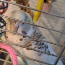 avatar 𝕸𝖔𝖗𝖎𝖙𝖟_𝖜𝖌𝖙