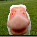 namnamnam8520 avatar