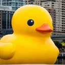 masterducky_yt