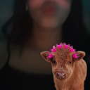 avatar 𝒦𝒾𝑒𝓇