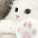 avatar paradise ۶ৎ