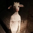 avatar The RiftStalker >:)