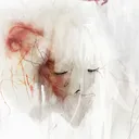 catj333