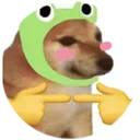 isagioppp