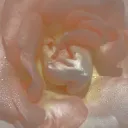 xmillyzxt9692