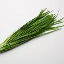 terinira