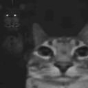 avatar ⅟²⅟³⅟₈⅐↓