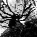 Аватар 911tilted