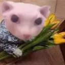 bert_292