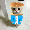 commandreexzade