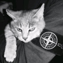 avatar labond