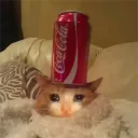 bundervoet