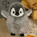 mrhelloyt