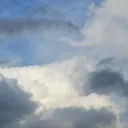 tortprobablydidit