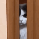 avatar los débiles~