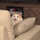 solyslive member profile picture