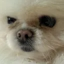 pabloofthesouth