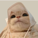 avatar Emy