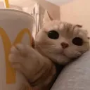 keetkat_
