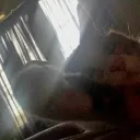 quepro_manchitas_042 avatar