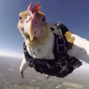 avatar 𝕮𝖊𝖑𝖎𝖓𝖊