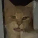 zyhhcx