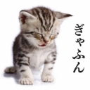 avatar ppurge ୨୧