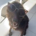 avatar 𝑱𝒆𝒔𝒔𝒊𝒆