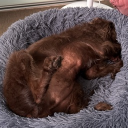 avatar 𝑱𝒆𝒔𝒔𝒊𝒆