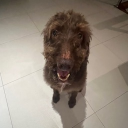 avatar 𝑱𝒆𝒔𝒔𝒊𝒆