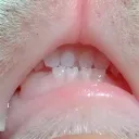 _bubu