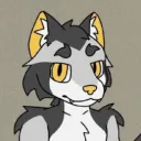 armin_cat