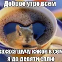 Аватар kenersu