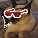 artisthepogcat