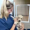 lauraguidedogs