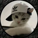 royal_bs_