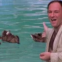 drdomealittle