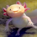 axie7395